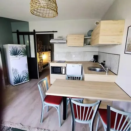 Apartament A 500 M Bord De Giens *