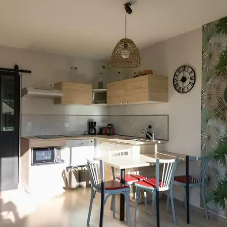 Apartament A 500 M Bord De Giens *
